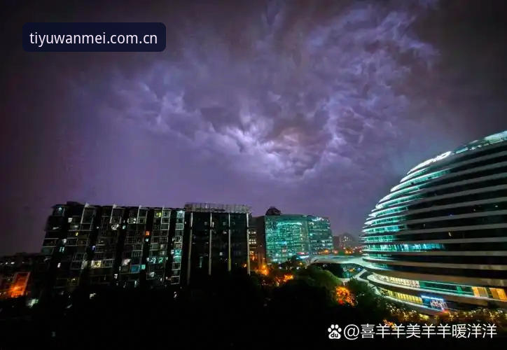 雷暴暂停疑云背后：世界杯安全标准的一次“技术性”评测